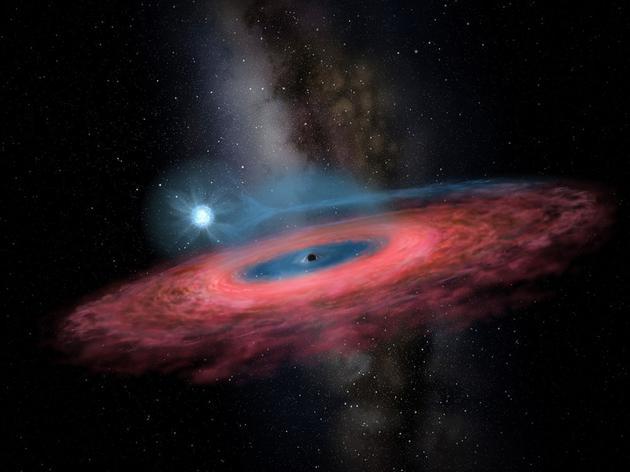 黑洞捕手计划上线!LAMOST发现迄今最大的恒星级黑洞